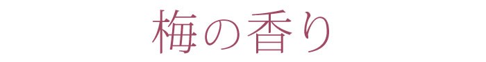 アシベ工芸 高級線香 優香 ゆうこう 白檀 桜 ラベンダー 梅 柚子 バラ詰 約50ｇ入