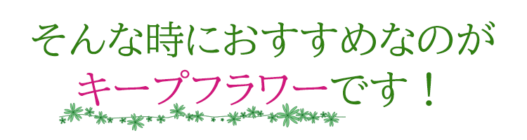 【使いきりサイズ】切花活力剤〔キ−プ・フラワ−〕10ml×10個セット【切花栄養剤】【テレビCM放映】【お花の延命剤】【お墓参り】【仏花】【生花】【フジ日本精糖株式会社】【仏壇】