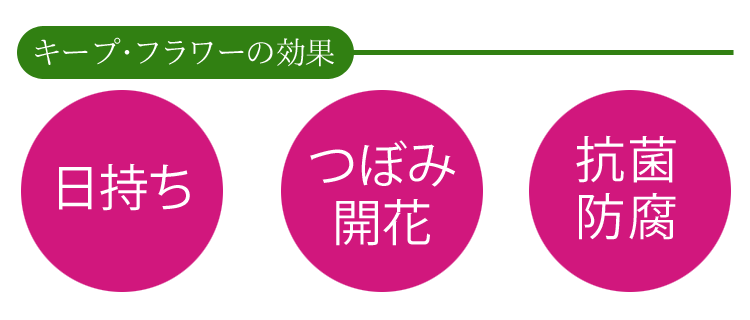 【使いきりサイズ】切花活力剤〔キ−プ・フラワ−〕10ml×10個セット【切花栄養剤】【テレビCM放映】【お花の延命剤】【お墓参り】【仏花】【生花】【フジ日本精糖株式会社】【仏壇】