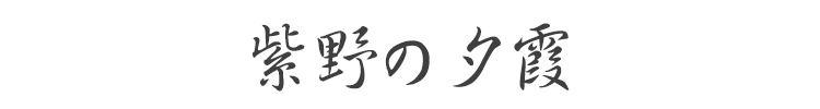 山紫水明 桐箱 スティック30本入り 全5種類の香り［加茂のせせらぎ・祇園の華・嵯峨の朝霧・嵐山の月影・紫野の夕霞］香彩堂 京線香 お線香 お香 室内香 室内芳香 ルームインセンス Incense 古都 京都 季節 四季折々 日本 JAPAN 贈答用 ギフト ご贈答用 日本製 京都