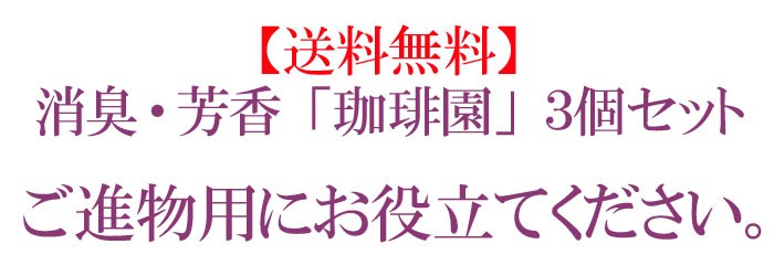 珈琲園 コーヒーえん ミニ寸 バラ詰み #583 薫寿堂のお線香 御線香