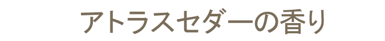 【室内香】【スティック】【オーガニック】【ナチュラル】【お香】【線香】【ICEA】【セダー】【森林】【ウッド調】