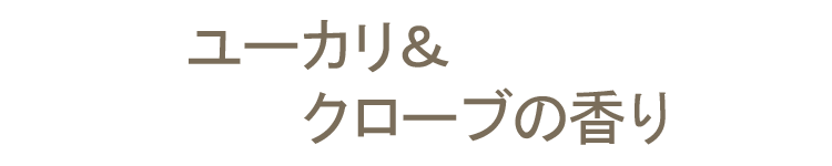 【室内香】【スティック】【オーガニック】【ナチュラル】【お香】【線香】【ICEA】【ユーカリ】【クローブ】【丁子】