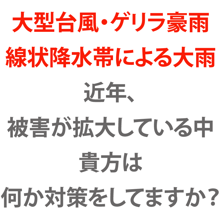 【土嚢】【高分子ポリマー】【省スペース】【コンパクト】【簡単】【使いやすい】【水害対策】【豪雨】【台風】【線状降水帯】【緊急時】【浸水防止】【早い】【簡単吸水土のう袋】【送料無料】