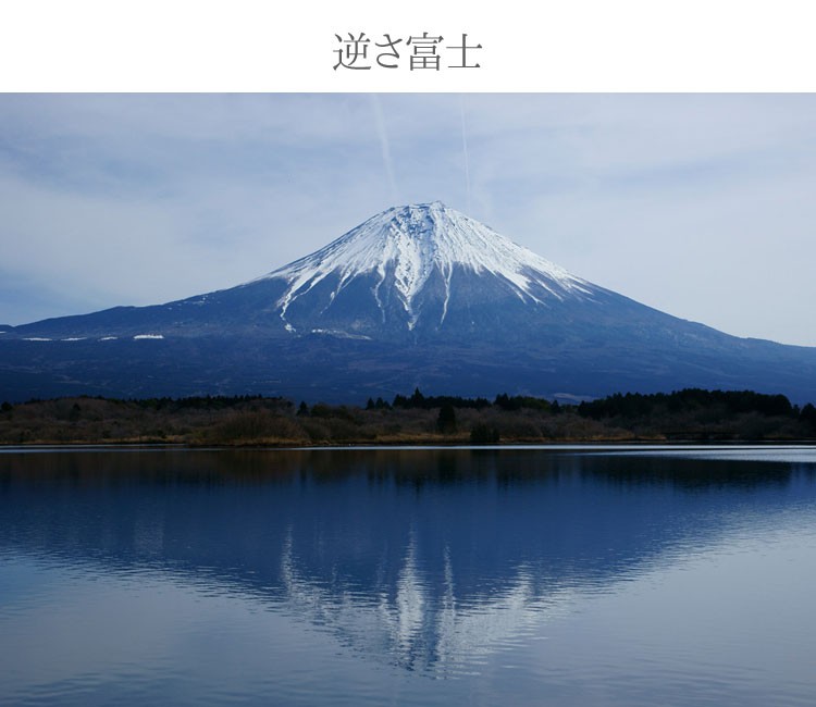 水盤 さかさ富士 青富士 日本製 フラワーアレンジメント お花 生け花 