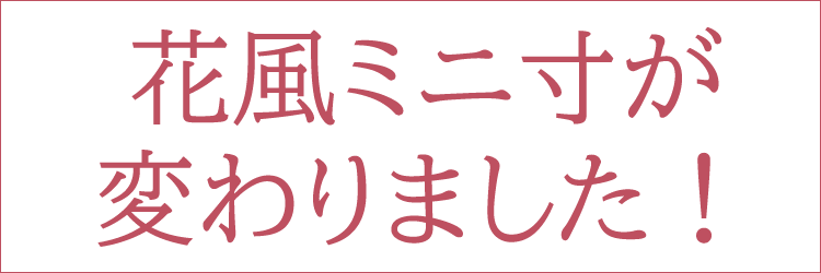 【蓮花】【線香】【贈答用】【進物】【お盆】【お彼岸】【自宅用線香】【ミニ】【花】【蓮】【室内香】【お供え香】【換気】【空気清浄】【インセンス】【ルームフレグランス】