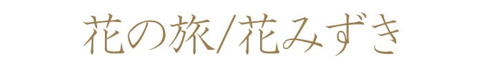 進物　お彼岸　お盆　新盆見舞　喪中見舞