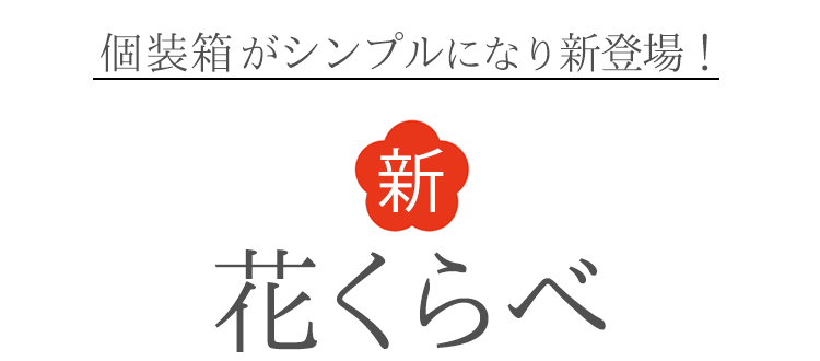 プロジェクトセカイ 花里みのり ミニ色紙コレクション | K-BOOKS