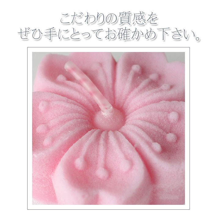 ろうそく 落雁風蝋燭 あかりの花めぐり 6個セット 無香料 フローティングキャンドル 贈答用 進物用蝋燭 進物蝋燭 新盆見舞 お盆 喪中見舞 お悔やみ  :pe-7180800:庵心堂 通販 