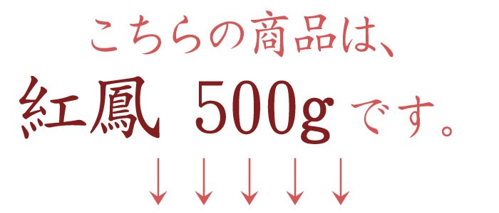 焼香 鳳命沈香 紅鳳 500g 寺院様向け 長川仁三郎商店 お焼香 浄土 香