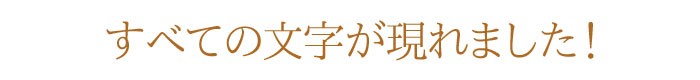 お線香　月命日　般若心経　御供　進物
