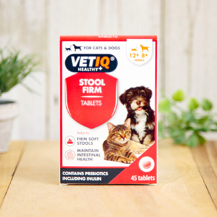 ���ġ���ե�����