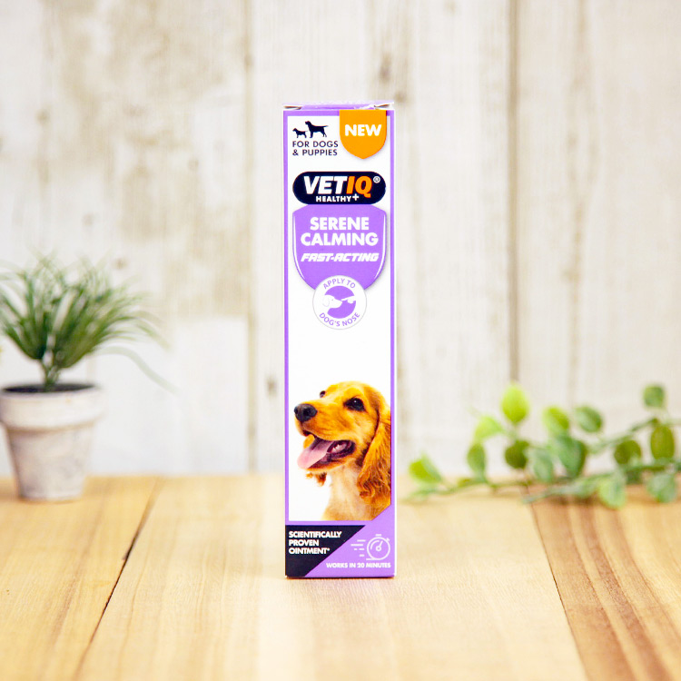 ���꡼�󥫡������