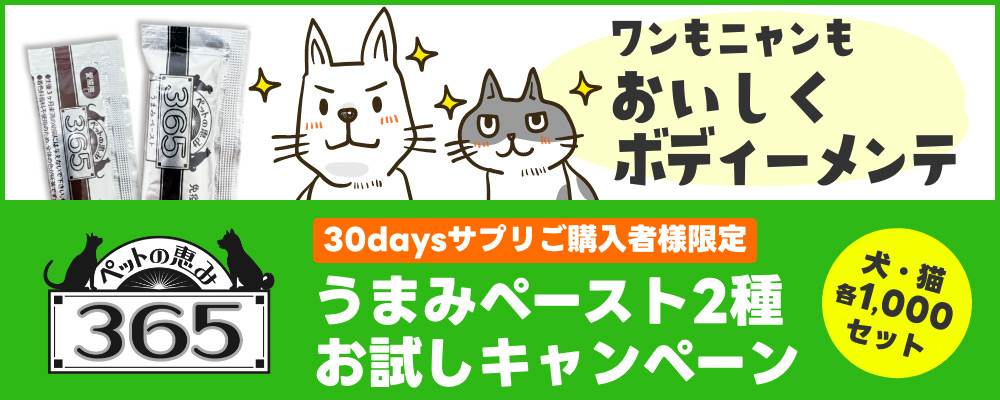 うまみペースト2種お試しキャンペーン