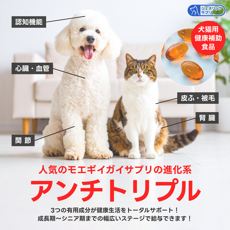 Ant.Pack獣医師監修ペット用サプリ専門店 - サプリメント｜Yahoo