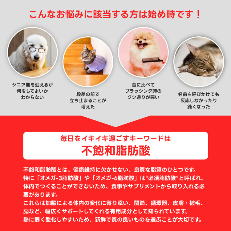 Ant.Pack獣医師監修ペット用サプリ専門店 - サプリメント｜Yahoo