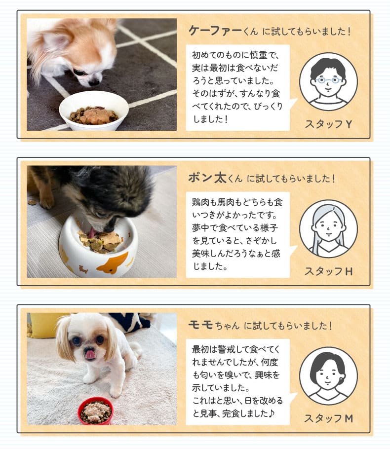 腎臓いたわりごはん 鶏肉 犬用 70g×1袋［ネコポス発送］12個まで