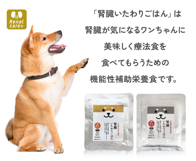 腎臓いたわりごはん 鶏肉 犬用 70g×1袋［ネコポス発送］12個まで