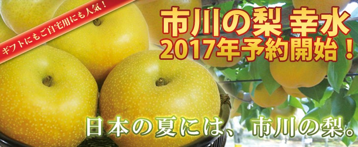 8月上旬出荷開始】幸水 梨 4L 11〜13個入り 千葉県市川産市川の梨 産地