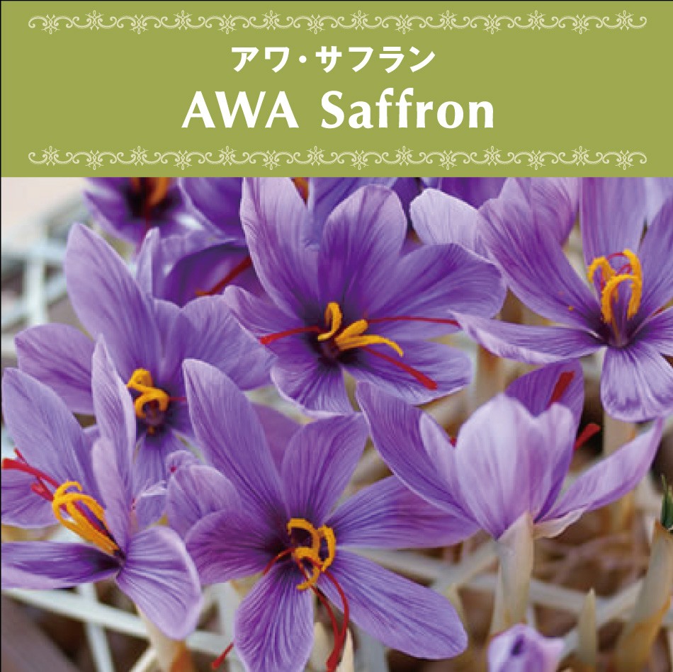 サフラン 千葉県いすみ市産 無農薬 無添加 無漂白 砂糖不使用 オーガニック ヴィーガン ベジタリアン ローフード ポリフェノール 自然食品 天然素材 0 5g Awasaffron05 Tokyobeetle 通販 Yahoo ショッピング