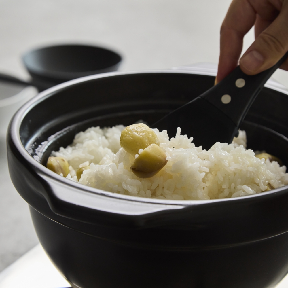 HARIO（ハリオ） フタがガラスのご飯釜2-3合 直火専用 炊飯鍋 2〜3合用