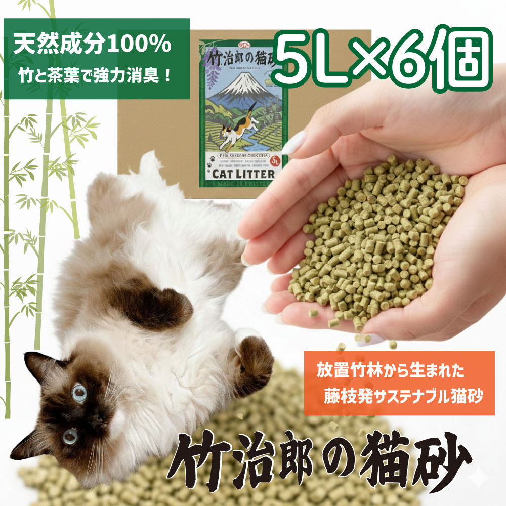 竹林　和花　猫　5個セット topsety.jpg