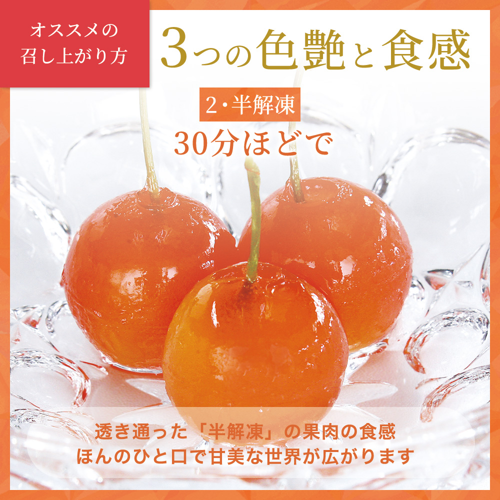 プチジェリチェリー さくらんぼ スイーツ フルーツ ゼリー