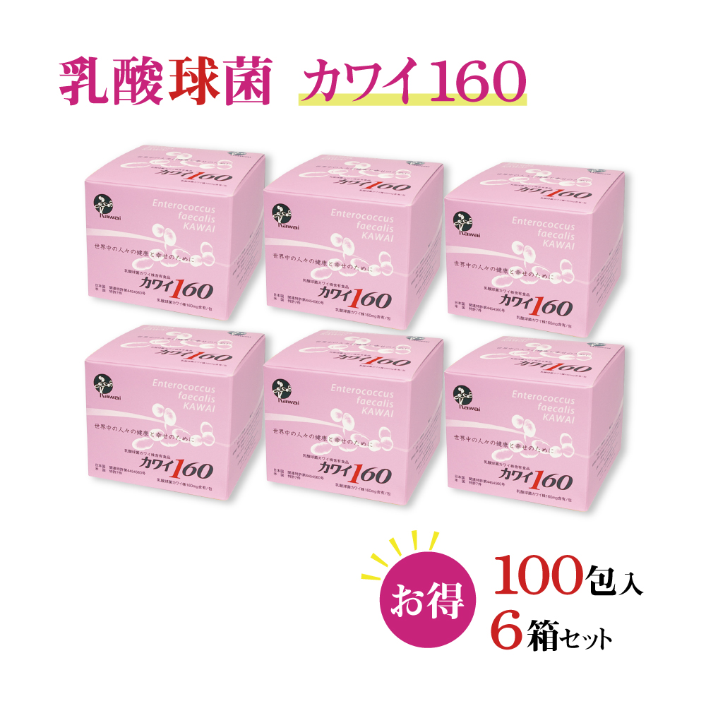 【正規代理店】カワイ 乳酸菌 kawai カワイ 160 6箱 乳酸球菌 カワイ株 160mg含有/包 1g 100包 スティックタイプ 健康食品 健康サプリ 乳酸菌 サプリメント 河合