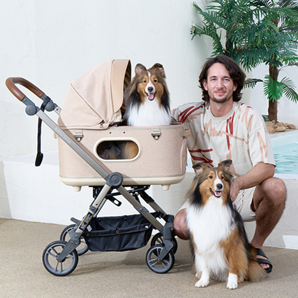 ROYAL TAILS Grace Classic ロイヤルテイルズ グレイス クラシック プラス 全2色 ペットカート ペット 介護用品 おしゃれ お出かけ チャコール ベージュ DG9376569940