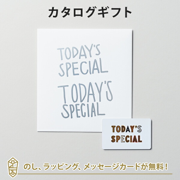カタログギフト 出産内祝い 結婚内祝い 内祝い お返し 引出物 贈り物 お祝い TODAY'S SPECIAL（トゥデイズスペシャル） GIFT CATALOG SILVER（シルバー）