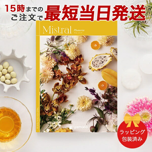 (プルメリア)Mistral(ミストラル)＜Plumeria＞ カタログギフト ギフトカタログ 香典返し 出産内祝い 結婚内祝い 内祝い お返し 包装済み