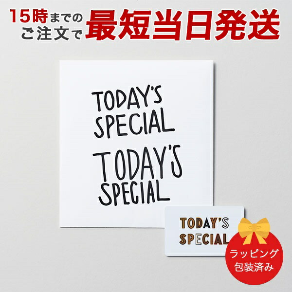 (ホワイト)TODAY'S SPECIAL（トゥデイズスペシャル） GIFT CATALOG WHITE（ホワイト）カタログギフト 出産内祝い 結婚内祝い 内祝い お返し 引出物 贈り物