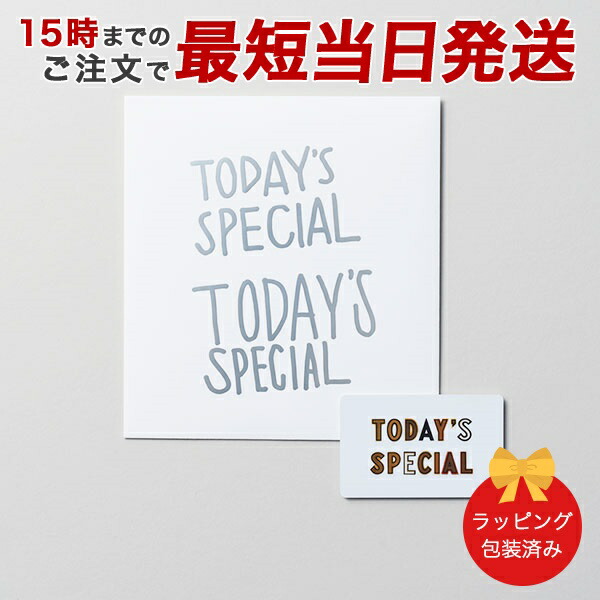 (シルバー)TODAY'S SPECIAL（トゥデイズスペシャル） GIFT CATALOG SILVER（シルバー）カタログギフト 出産内祝い 結婚内祝い 内祝い お返し 引出物 贈り物