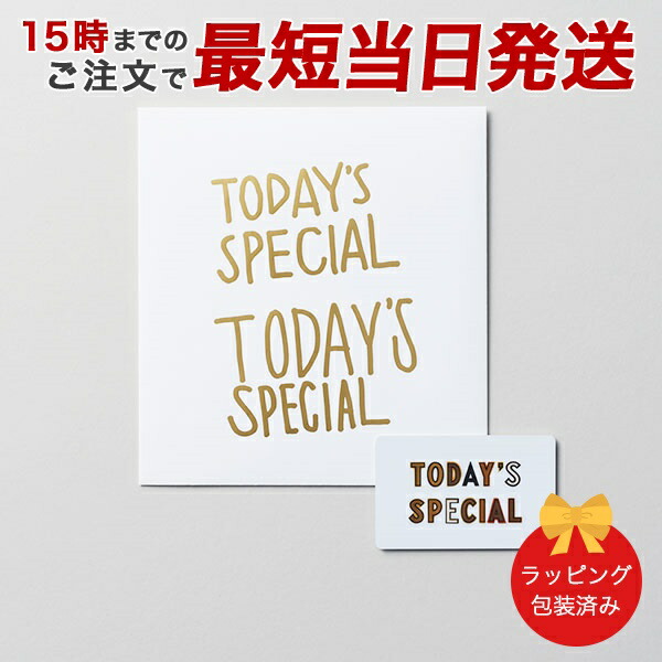 (ゴールド)TODAY'S SPECIAL（トゥデイズスペシャル） GIFT CATALOG GOLD（ゴールド）カタログギフト 出産内祝い 結婚内祝い 内祝い お返し 引出物 贈り物