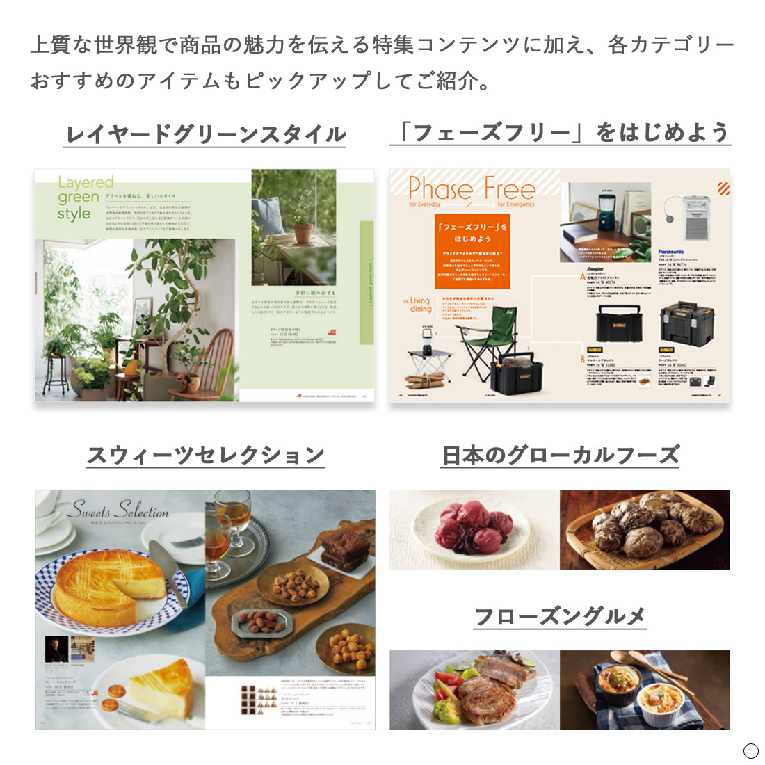 百日草)沙羅(さら) ＜百日草(ひゃくにちそう)＞ カタログギフト