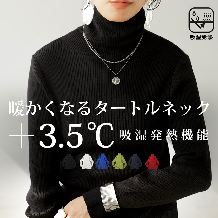 antiqua   【アンティカ】　コットンリブニット　新品 antiqua - antiqua 【アンティカ】 コットンリブニット 新品の通販 by