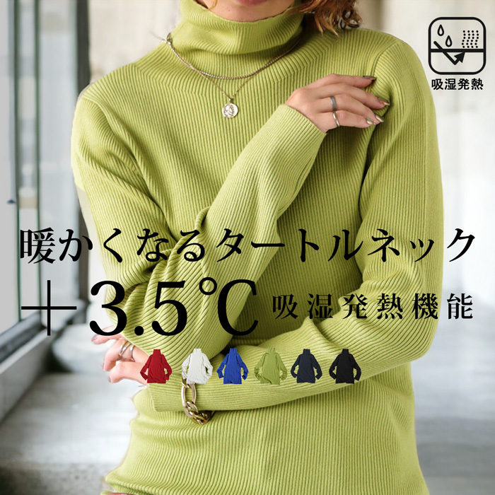 antiqua   【アンティカ】　コットンリブニット　新品 antiqua - antiqua 【アンティカ】 コットンリブニット 新品の通販 by