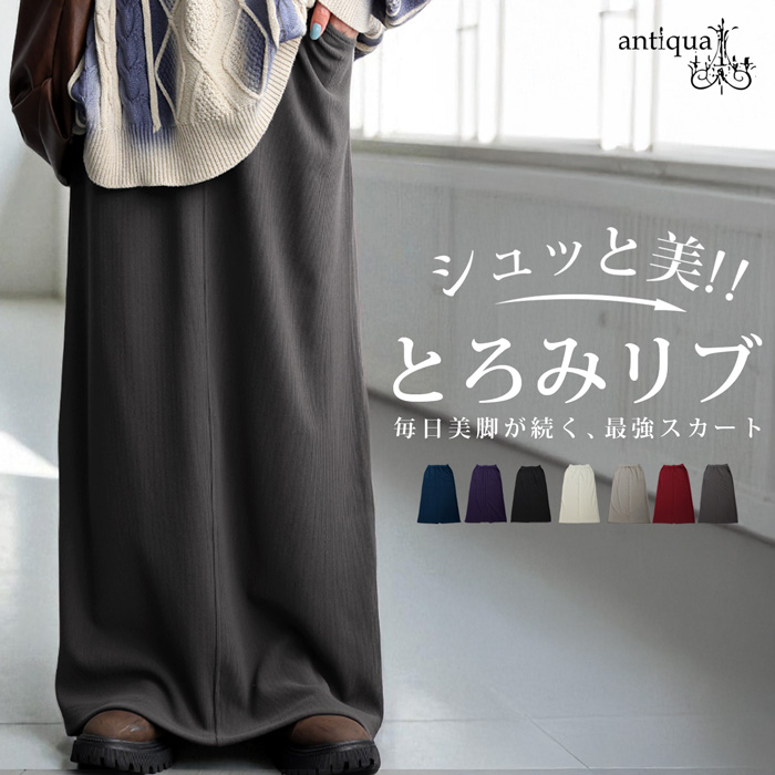 シュッと美 ロングスカート レディース ボトムス 送料無料・再入荷 メール便不可 | antiqua | 04
