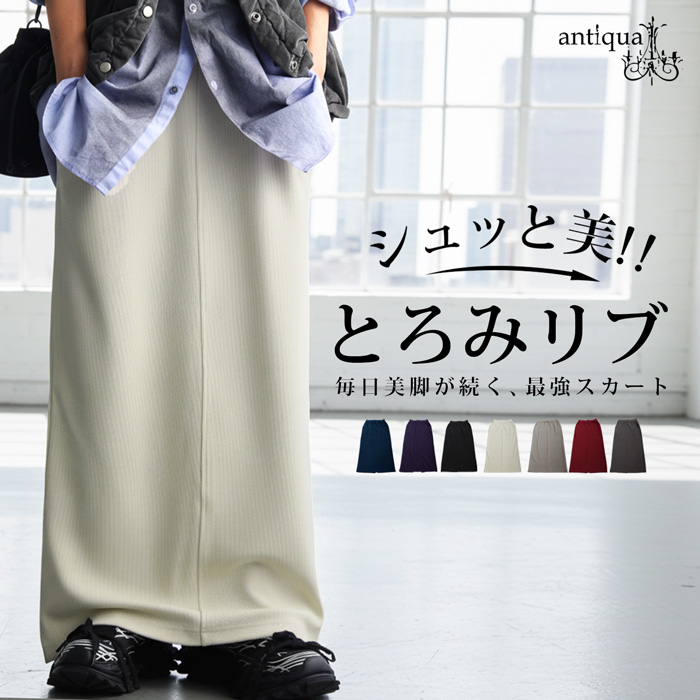 シュッと美 ロングスカート レディース ボトムス 送料無料・再入荷 メール便不可 | antiqua | 06