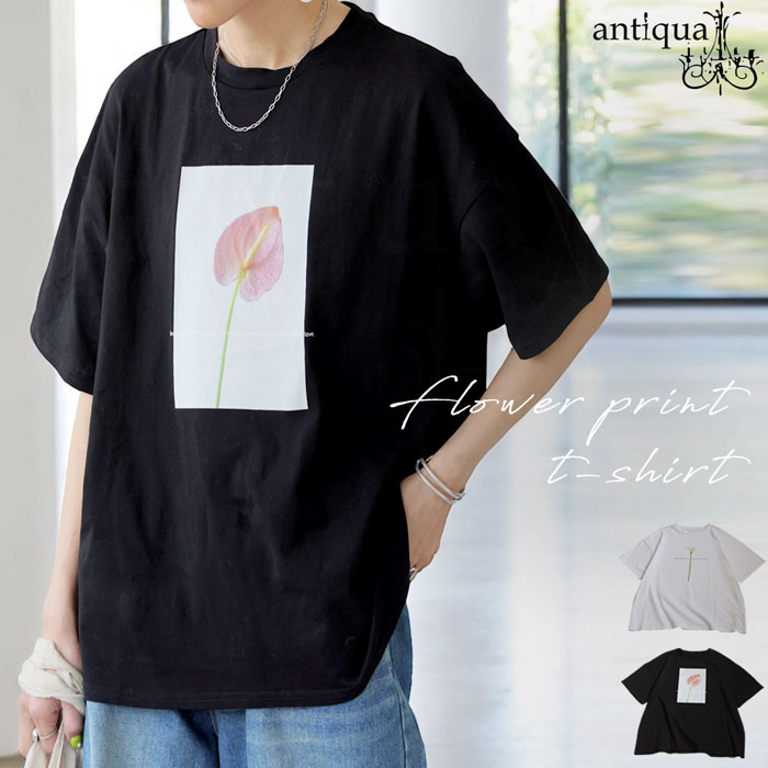 antiqua（アンティカ） 花柄プリントTシャツ レディース 半袖 トップス