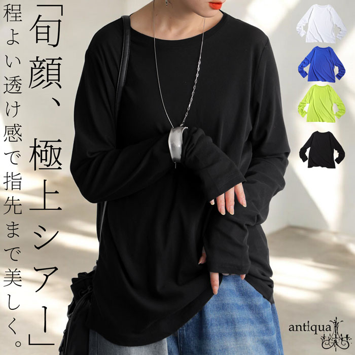 antiqua スラブシアーロンT カットソー レディース トップス