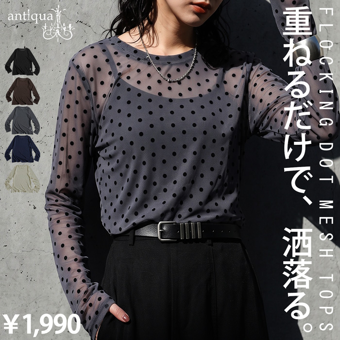 antiqua（アンティカ） ドット柄 シアー トップス レディース 長袖