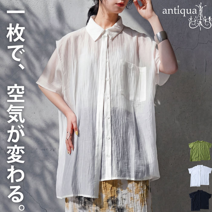 antiqua（アンティカ） シアーシャツ レディース 半袖 楊柳 無地