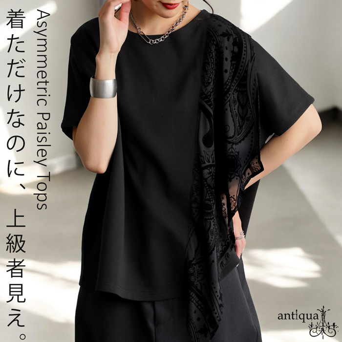 antiqua（アンティカ） ペイズリー柄切替トップス レディース 半袖