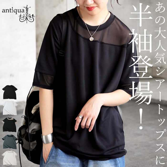 antiqua（アンティカ） まとめて最大10％OFF18日19時〜22日10時 シアー