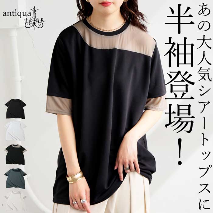 antiqua（アンティカ） シアー切替半袖トップス レディース 接触冷感
