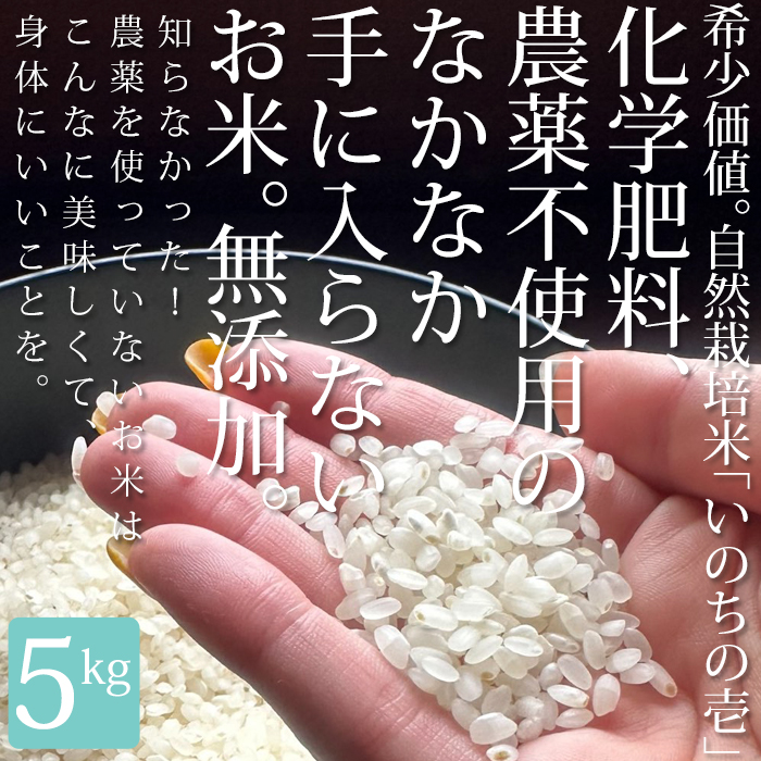 自然栽培 玄米の商品一覧 通販 - Yahoo!ショッピング