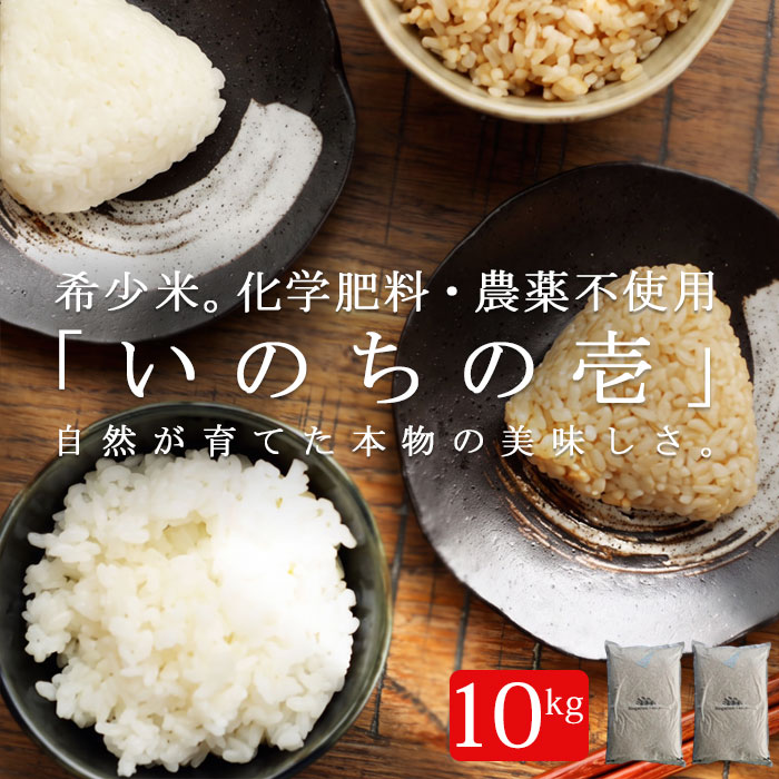 いのちの壱のおすすめ人気商品一覧 通販 - Yahoo!ショッピング