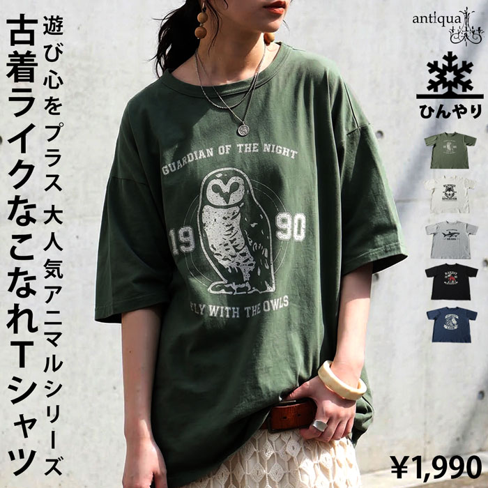 antiqua（アンティカ） 半袖 Tシャツ レディース 接触冷感 綿100
