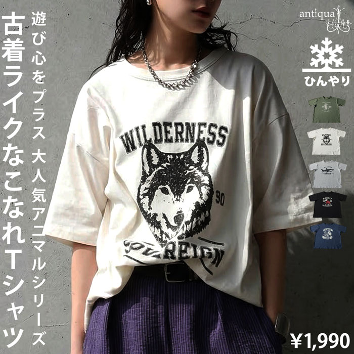 antiqua（アンティカ） 半袖 Tシャツ レディース 接触冷感 綿100